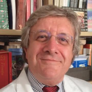 description de l’image